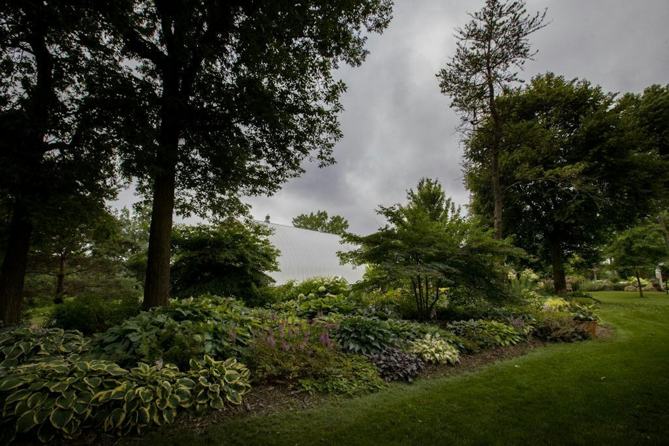 Shade garden of a wide variety of hosta and astilbe.