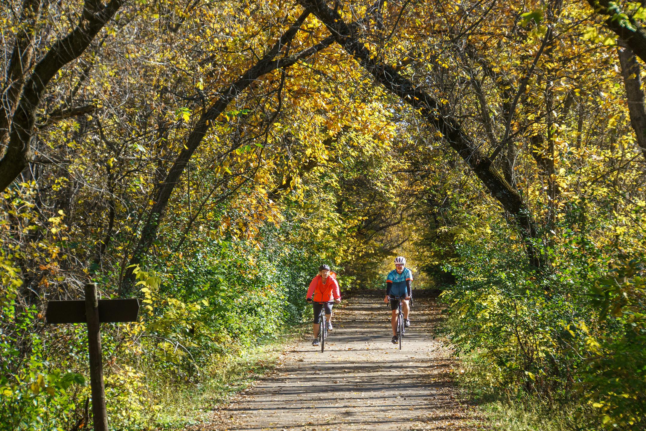 Between Isinours Junction and Lanesboro