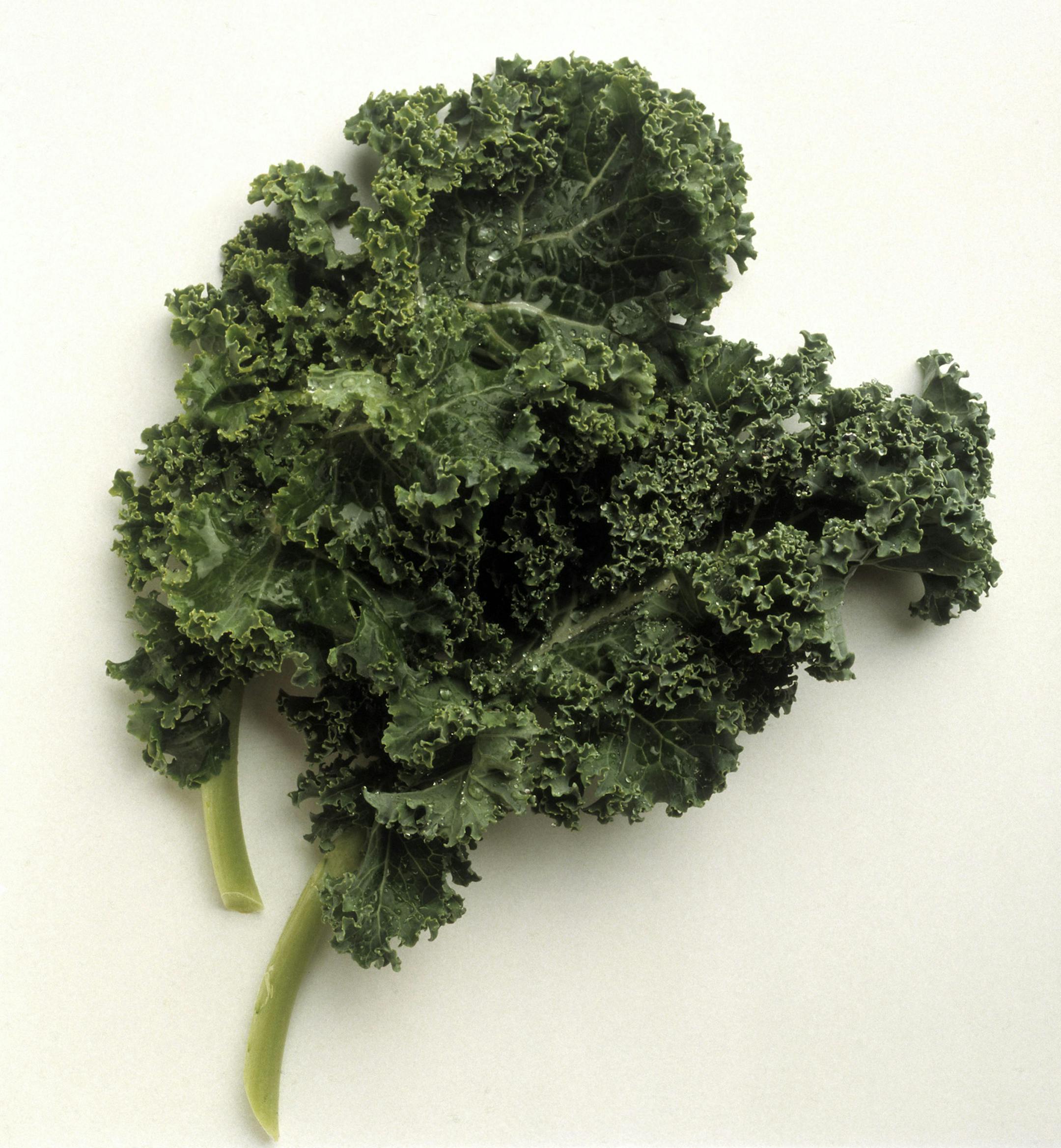 Fresh Kale, from stockfood.com