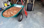 A wheelbarrow filled with pennies, March 20, 2021 in Fayetteville, Ga. Andreas Flaten said his former employer owed him $915 after leaving his job in 