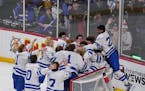 Minnetonka wins over Edina for the 2A boys hockey championship.