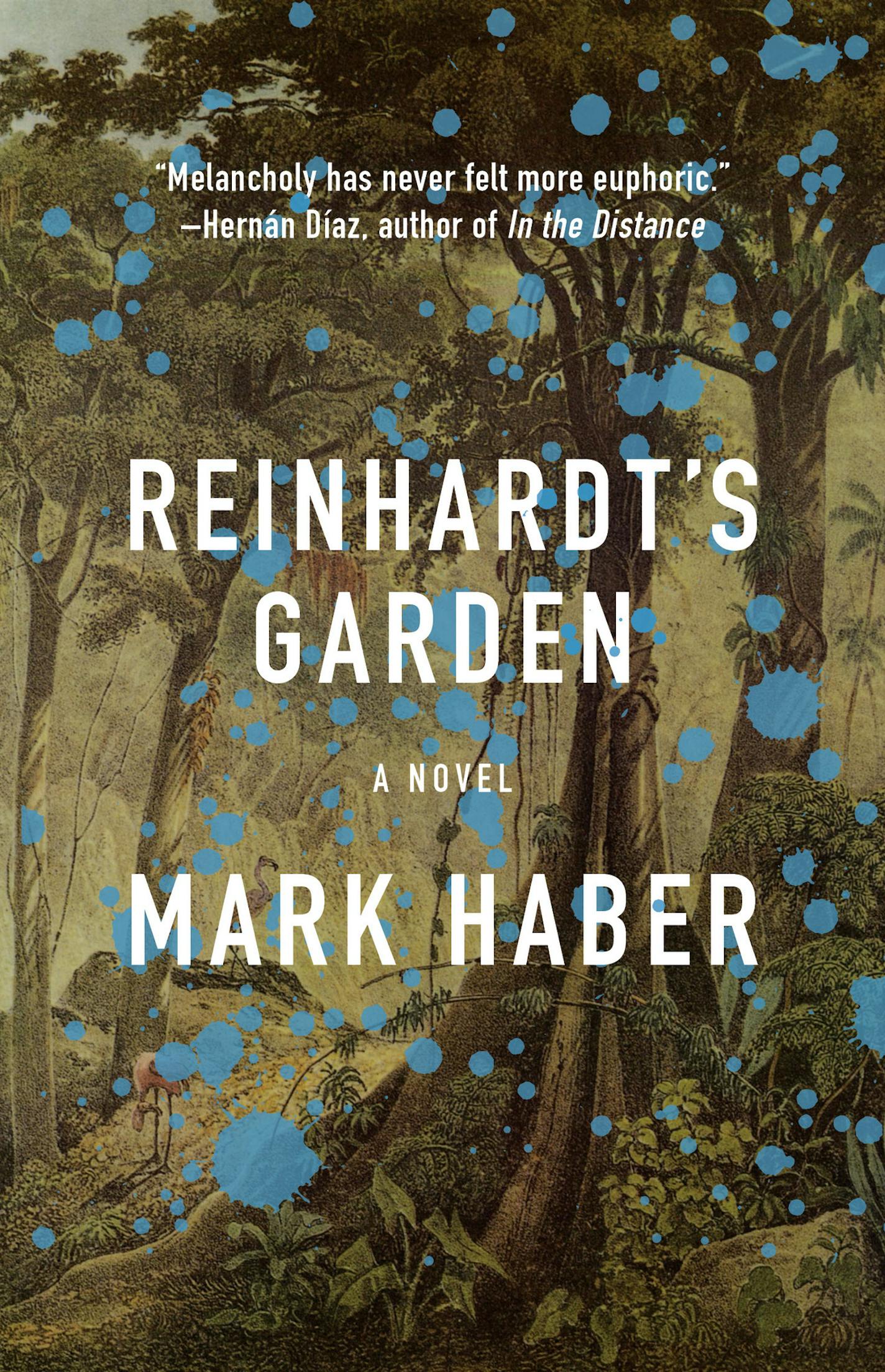 "Reinhardt's Garden" by Mark Haber