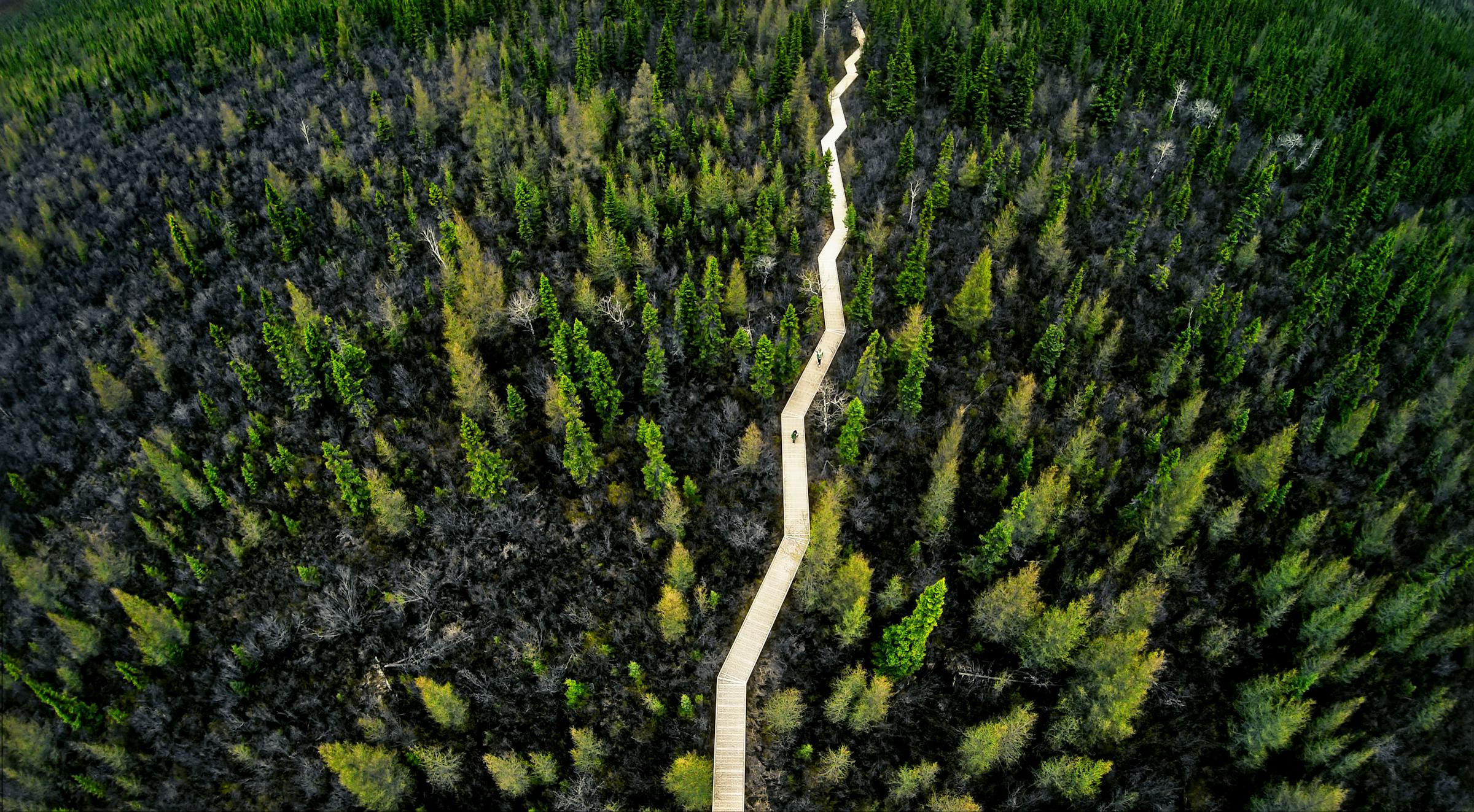 https://arc.stimg.co/startribunemedia/526FSNP2FZGSTID6ZPKIEJDFB4.jpg?&w=1200&ar=1.91:1&fit=crop