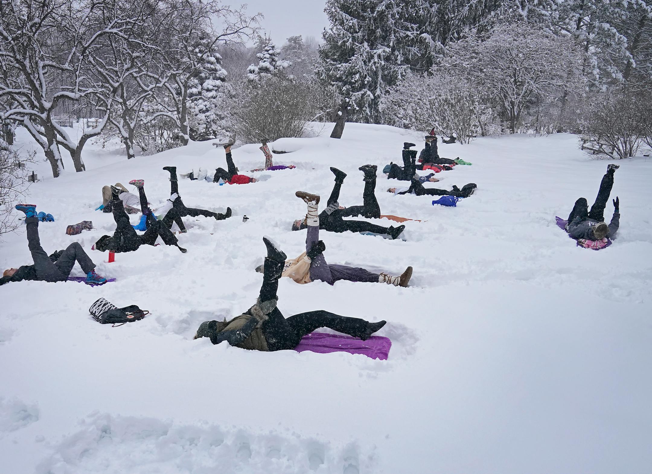 As part of the Yoga in the Gardens series, instructor Jenn Holm, right, of Yoga 4 You, led participants in Snowga at the Lilac Walk in the Minnesota Landscape Arboretum.