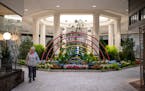 Rene Goepfrichm 85, of Minneapolis, passes by a floral installation on her early-morning mall walk.