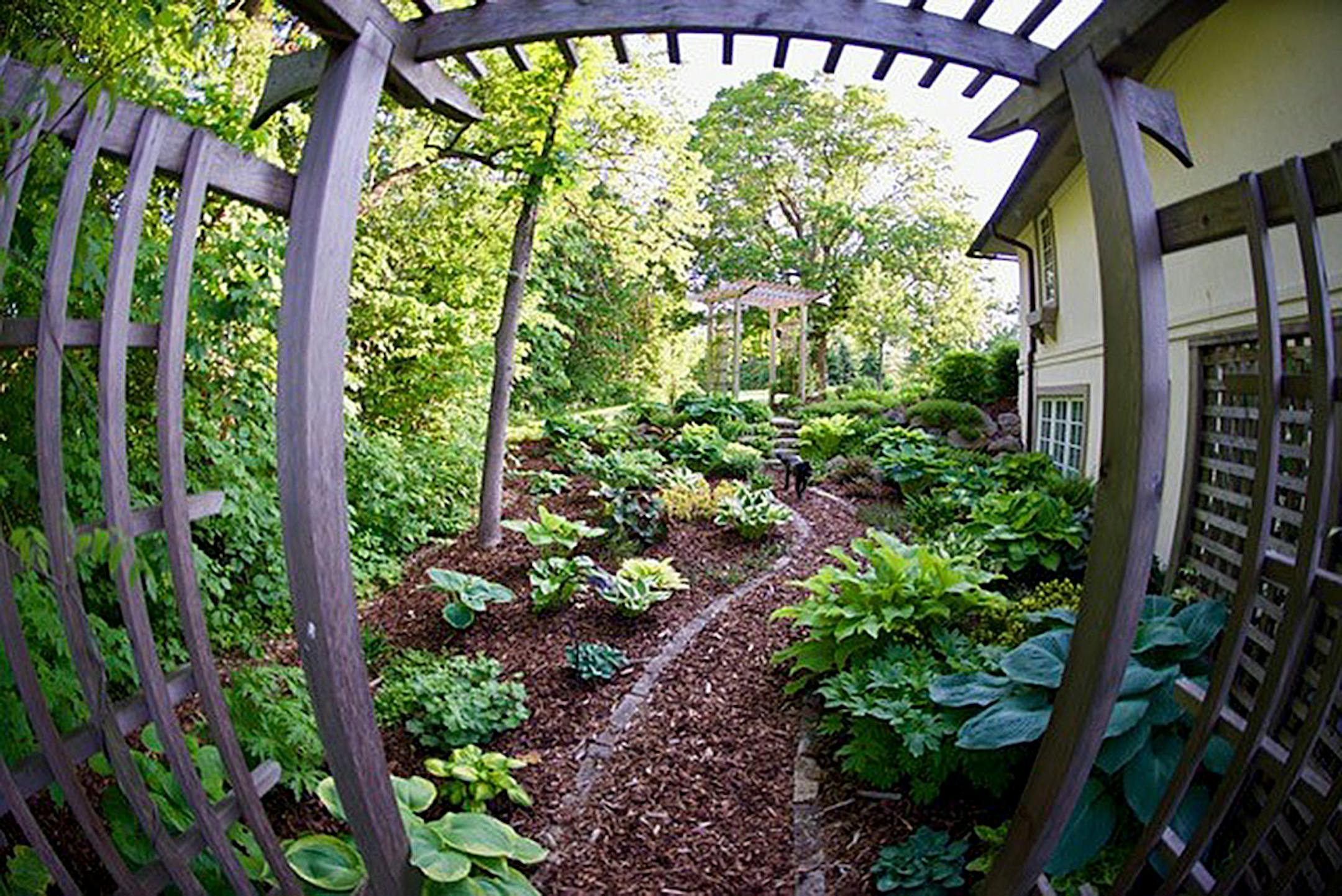 Karen and Emery Koenig's garden in Waconia includes a hosta glade.