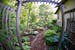 Karen and Emery Koenig's garden in Waconia includes a hosta glade.