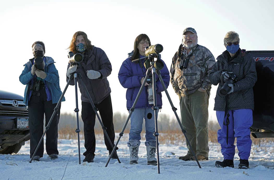 The Sax-Zim Bog in rural St. Louis County is a unique boreal habitat that attracts serious bird-watchers in search of great gray owls. Professional guides Alex Sundvall (second from left) and Kim Risen (second from right) were guiding three bird-watchers from Illinois.