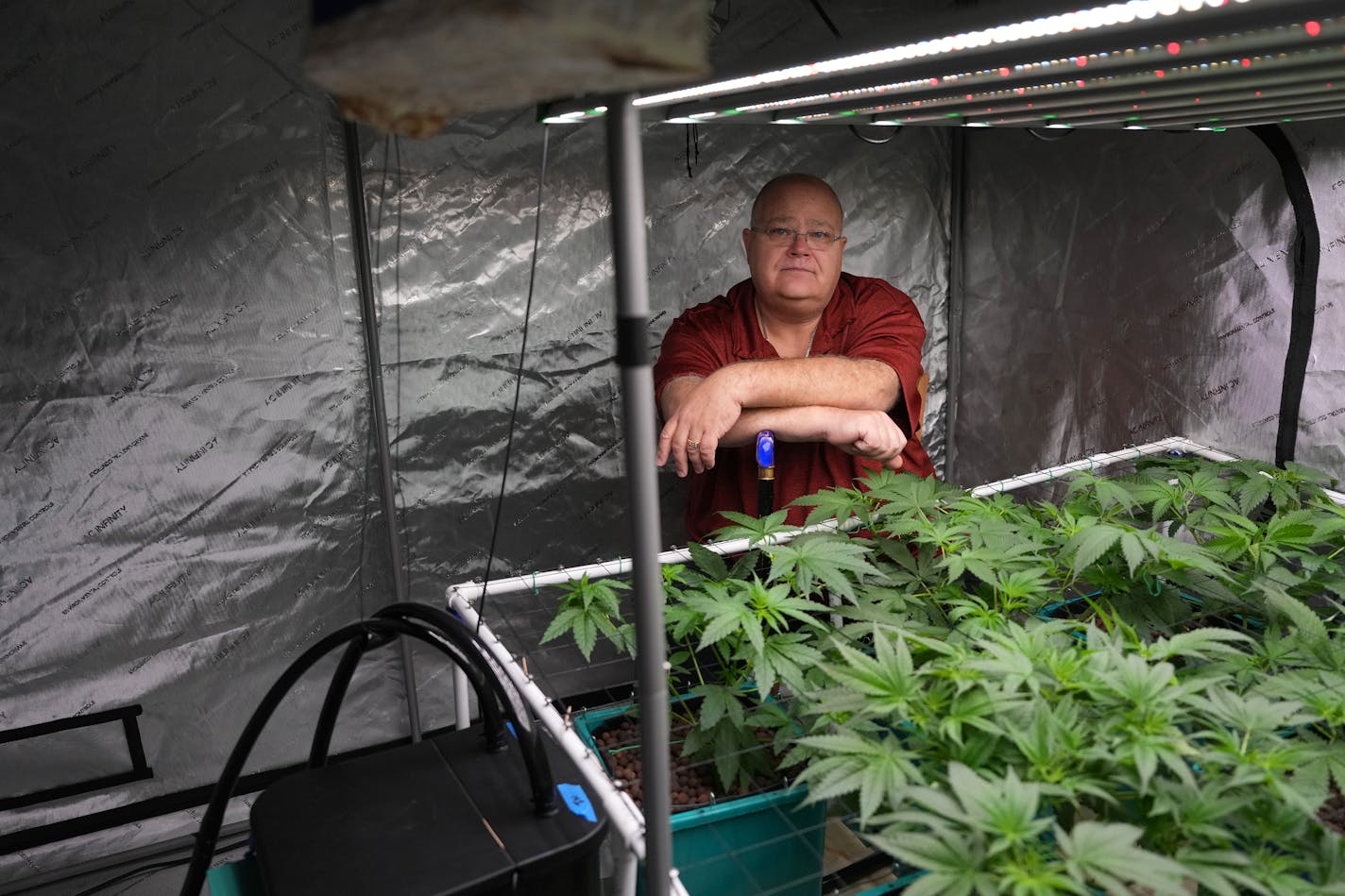 Patrick McClellan, a longtime medical marijuana patient, talks about the marijuana plants he's cultivating in a grow tent for personal use Thursday, Oct. 19, 2023 at his home in Bloomington, Minn. McCellan uses the drug to treat his mitochondrial disease, a rare form of muscular dystrophy.  ] ANTHONY SOUFFLE • anthony.souffle@startribune.com