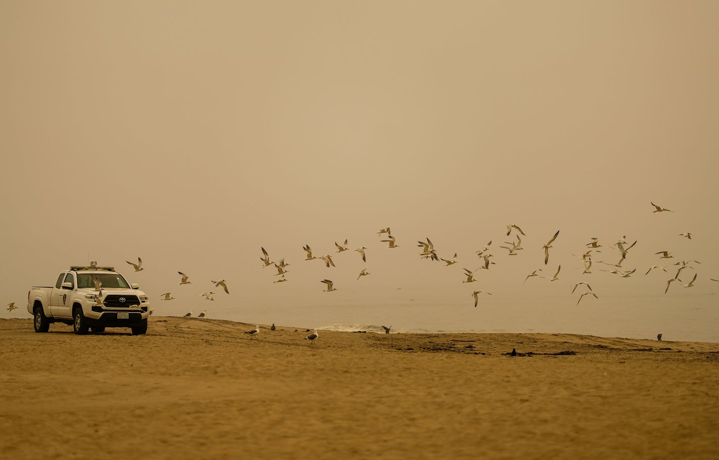 Birds take flight as smoke from the fires and a marine layer roll in slightly obscuring the view from the beach near the Santa Cruz Beach Boardwalk during the CZU August Lightning Complex fires, on Friday, Aug. 21, 2020, in Santa Cruz, California. (Kent Nishimura/Los Angeles Times/TNS) ORG XMIT: 1748880