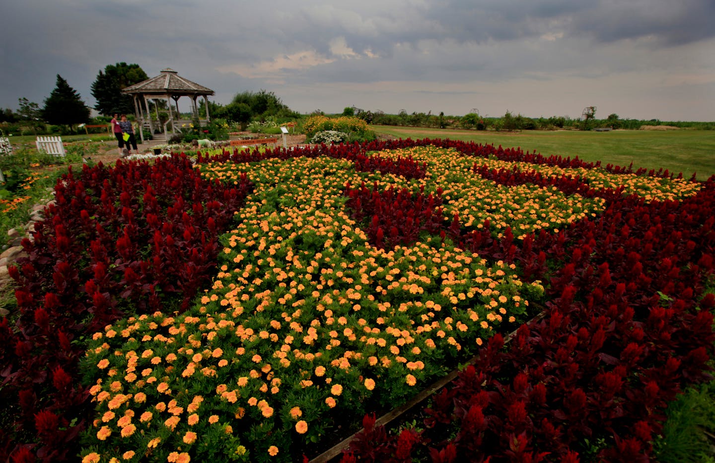 Gardens put to the test in Rosemount