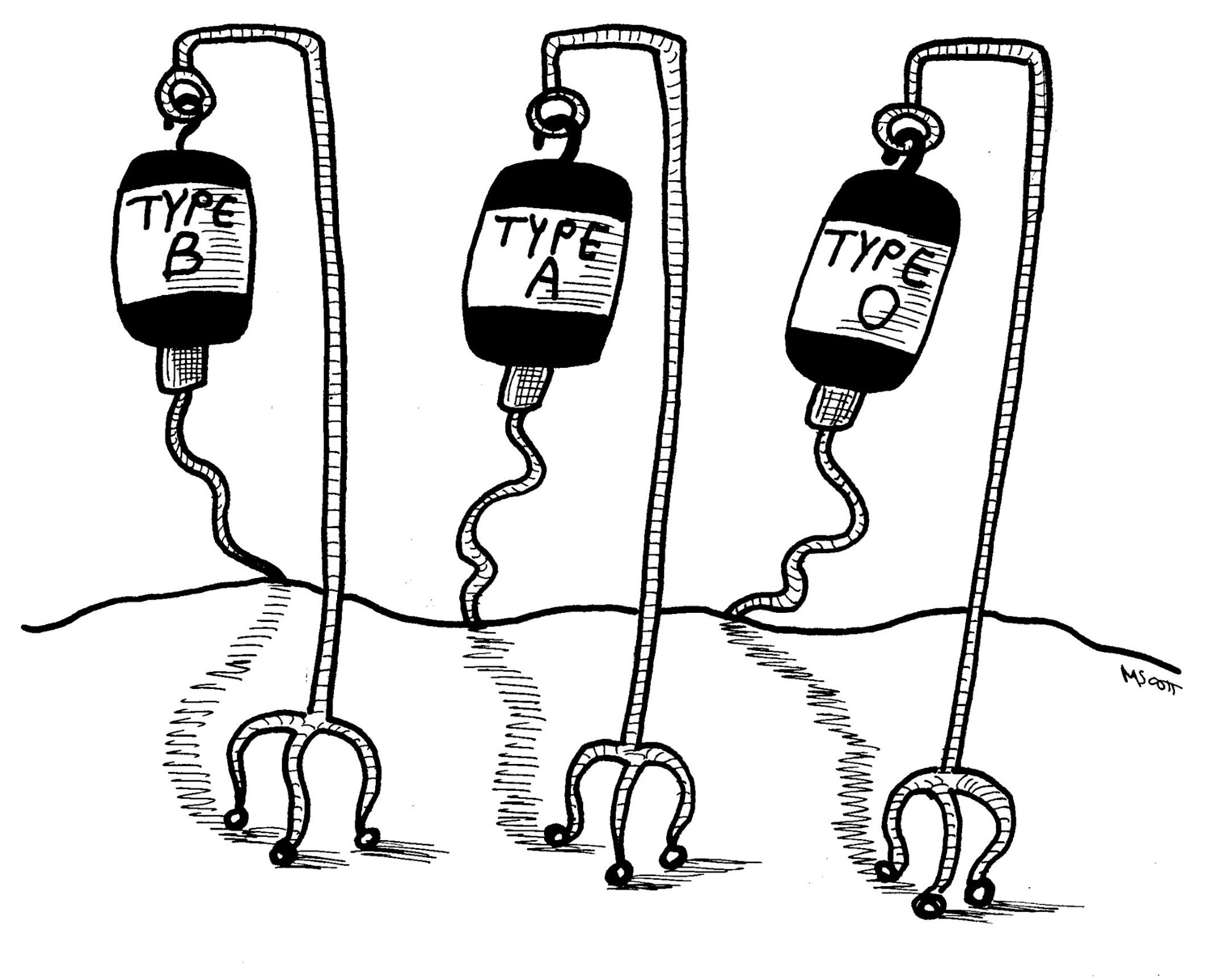 Margaret Scott/NewsArt