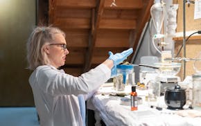 Allison Zank pours a mixture of cat nip, avocado oil and olive oil into a jar to press into the fragrance used in her de-matting product, Fluff Potion