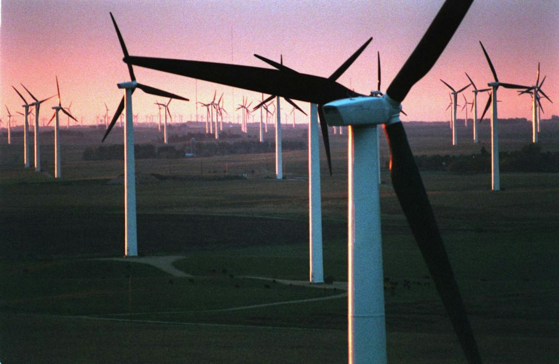 One of the world's largest wind farms will be dedicated in southwestern Minnesota this weekend (Saturday, Sept. 26). The 143 turbines were constructed during the past couple of years, and are producing 107 megawatts of electricity--enough to supply about 40,000 households. -- (THIS PHOTO) A new group of 143 wind generators is being added to the existing Buffalo Ridge wind generation complex near Lake Benton, MN. (Lake Benton is about 8 miles from the South Dakota boarder). This photo is looking
