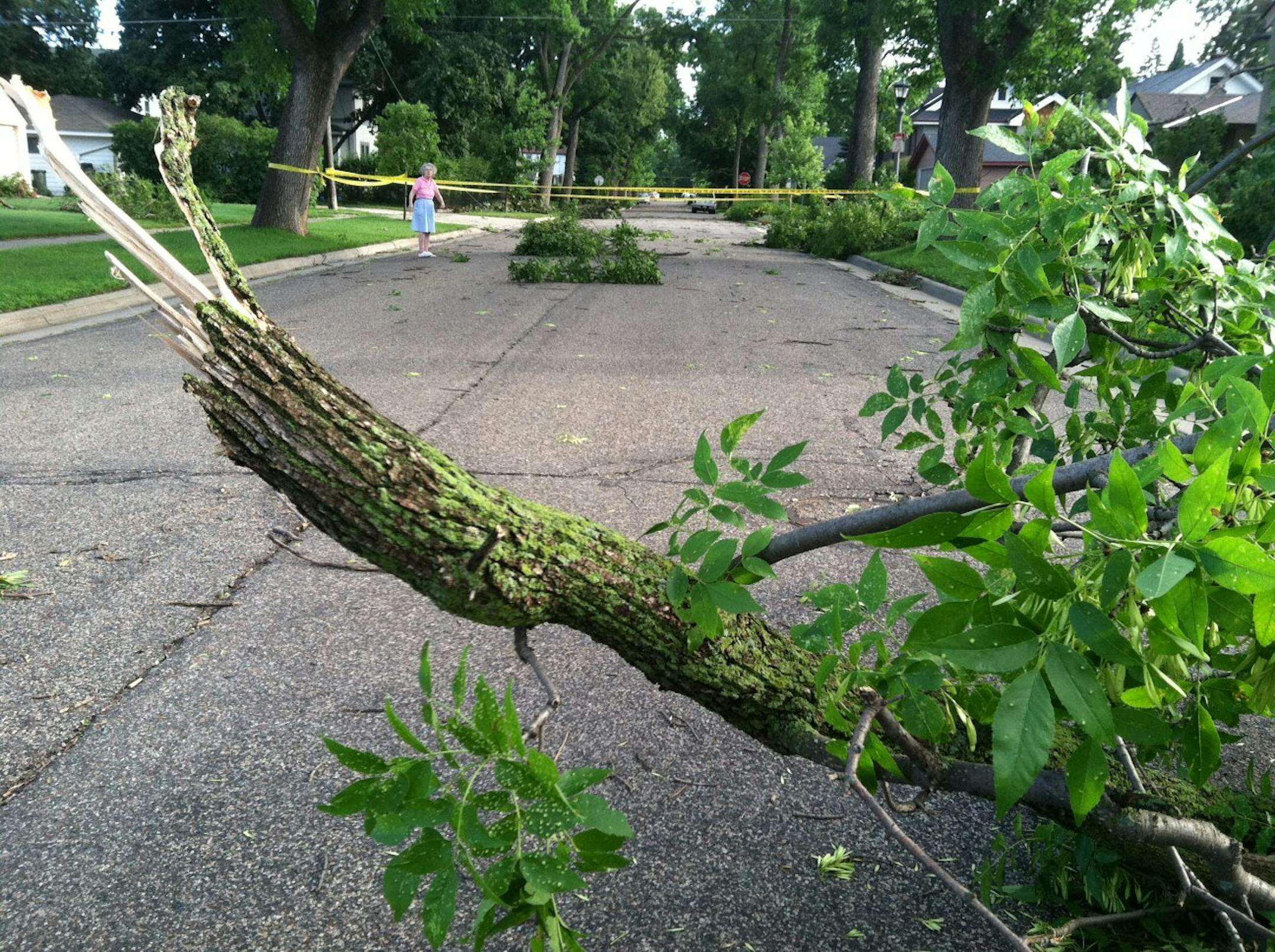 The 500 block of Macalester St. in St. Paul was closed Monday morning because of tree limbs that came down in Sunday night's storm.