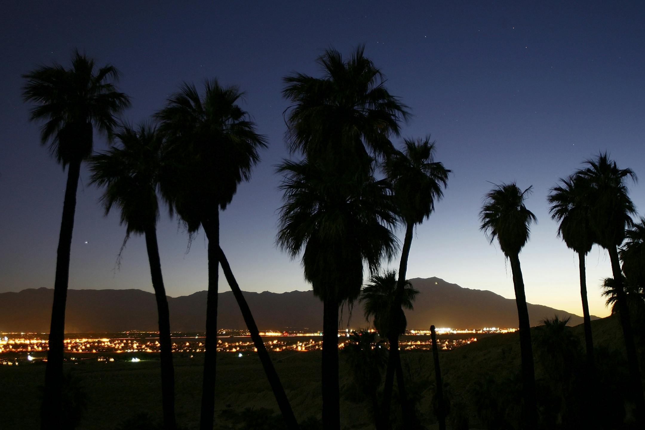 PALM SPRINGS, CA - MAY 15: A natural spring-fed desert oasis is one of many supporting thousands of palm trees that line the San Andreas earthquake fault on May 15, 2008 northeast of Palm Springs, California. The fault system, which also includes the Banning and Mission Creek faults, pushes water to the surface of the Coachella Valley, creating important water sources for desert plants and wildlife. New calculations reveal a 99.7 percent chance that a magnitude 6.7 quake or larger will strike by
