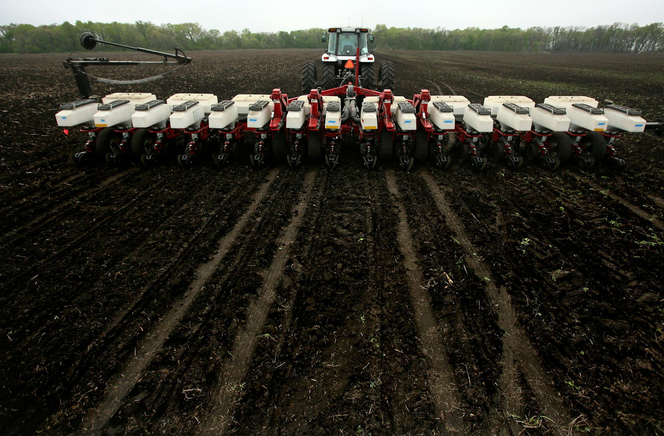 Mick Schmiesing, with the help of his retired farmer father Bob (In tractor), planted corn on his new land that he paid record price for this spring. ] BRIAN PETERSON ‚Ä¢ brianp@startribune.com Vernon Center, MN - 05/01/2012 farmland ORG XMIT: MIN2013032815160852