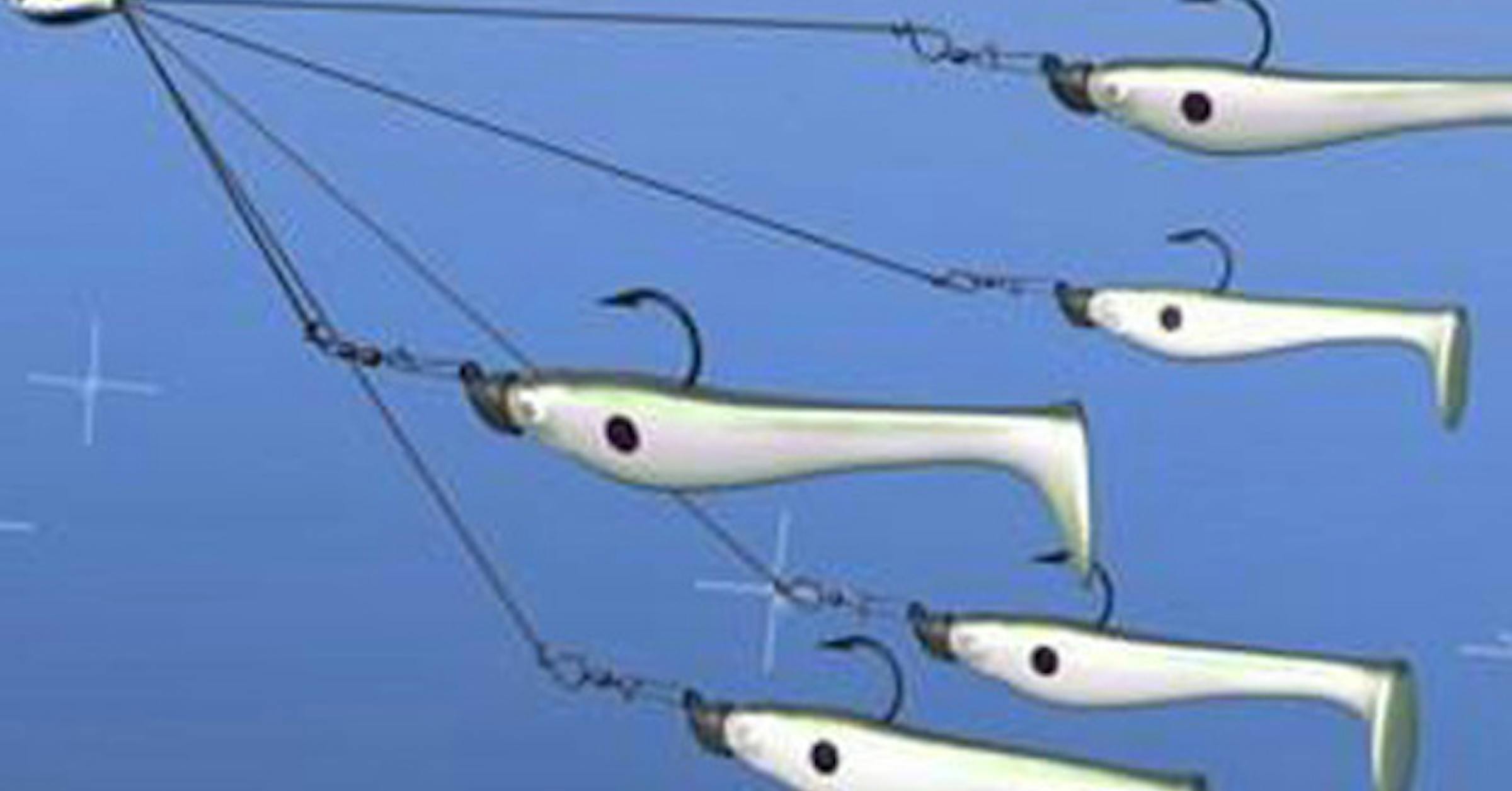 Anderson: Alabama bass-fishing rig banned for FLW tournaments Anderson: Alabama bass-fishing rig banned for FLW tournaments