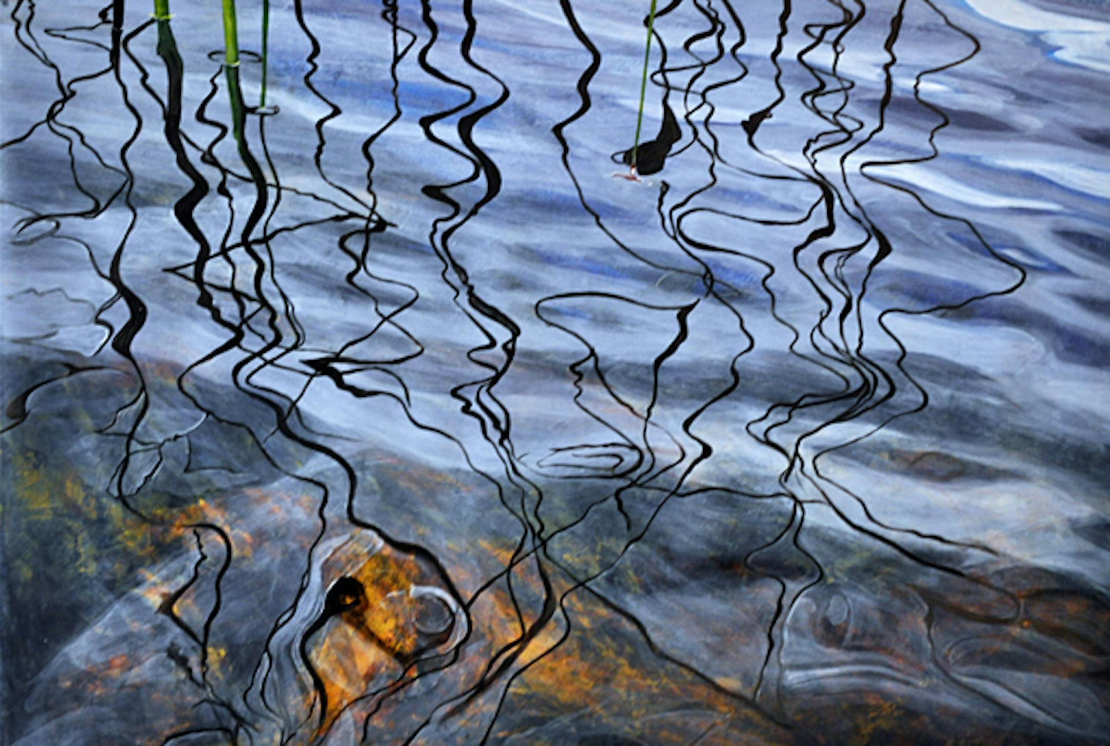 Liz Rolfsmeier Something In Between