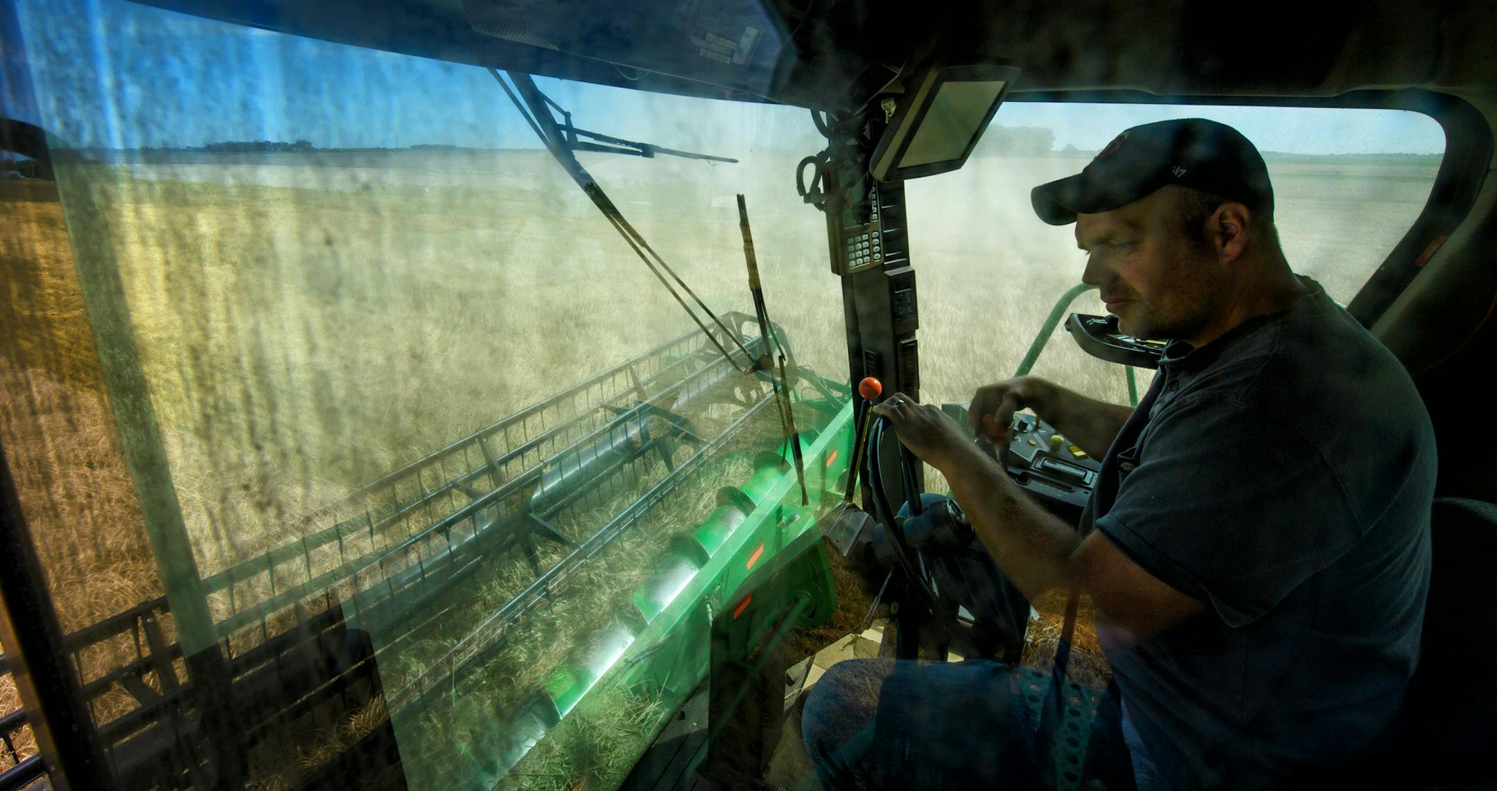 Jack Weber drove his wheat combine on his field. The wheat doesn't bring much cash but it does improve the health of his soil. ] GLEN STUBBE • glen.stubbe@startribune.com Wednesday, August 23, 2017 Trip to western Minnesota with Glen Stubbe to interview, photograph and film the harvesting of wheat at Jack Weber's farm. Wheat doesn't make him money but it does improve the health of his soil. This crop rotation is one of several steps Weber uses to make the land better and is in line with w