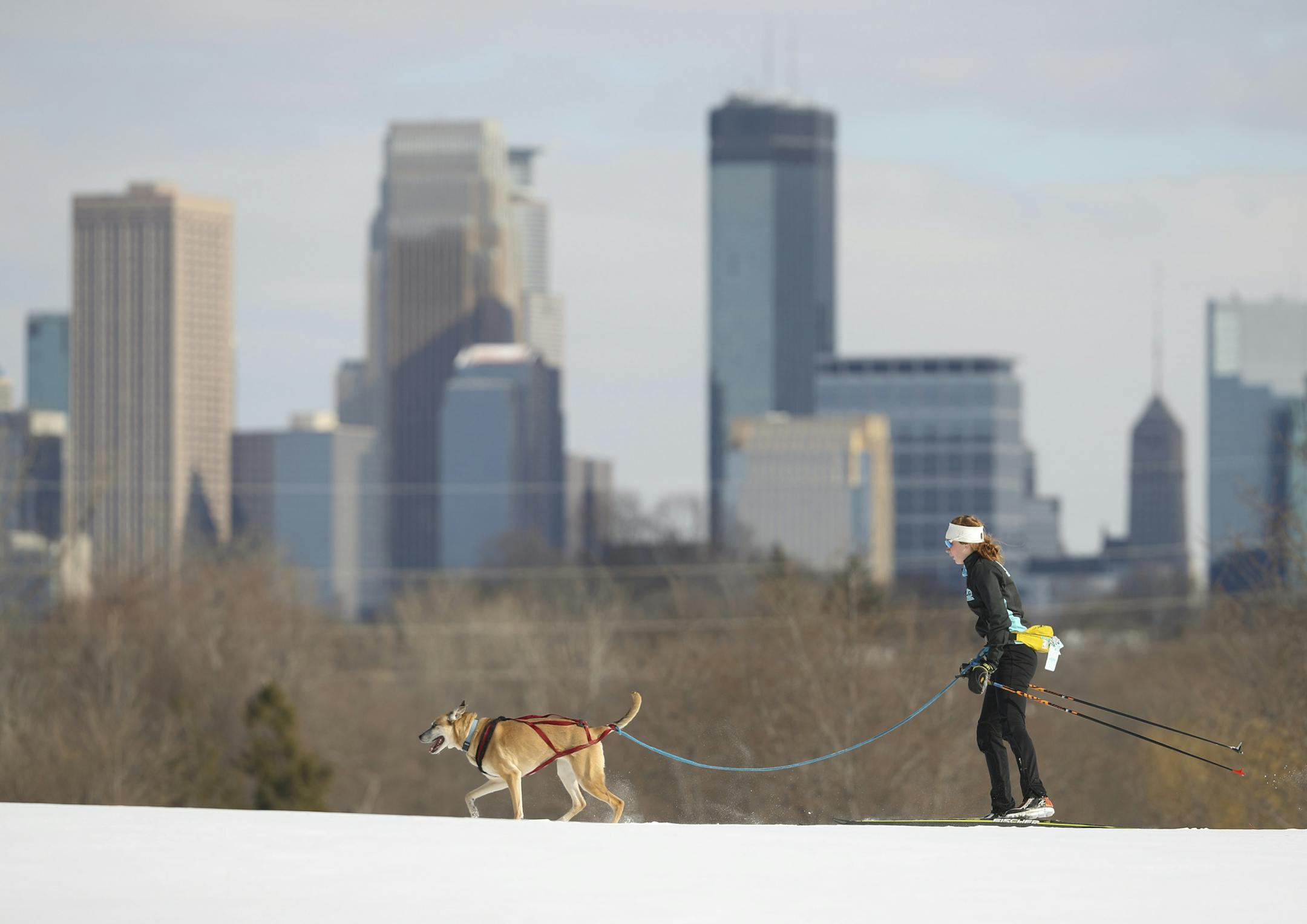 Kyra Jackson skied with her dog, Daria, on the groomed trails of the Theodore Wirth Park golf course Monday afternoon. ] JEFF WHEELER ï jeff.wheeler@startribune.com Warm weather is chipping away at Minnesotans' beloved ski season and, in turn, at city and county budgets. Parks and recreation departments depend on income from ski and snowboard lessons, daily passes and winter equipment rentals to keep trails groomed and the lights on. At Theodore Wirth Park, skiers took advantage of the bigg