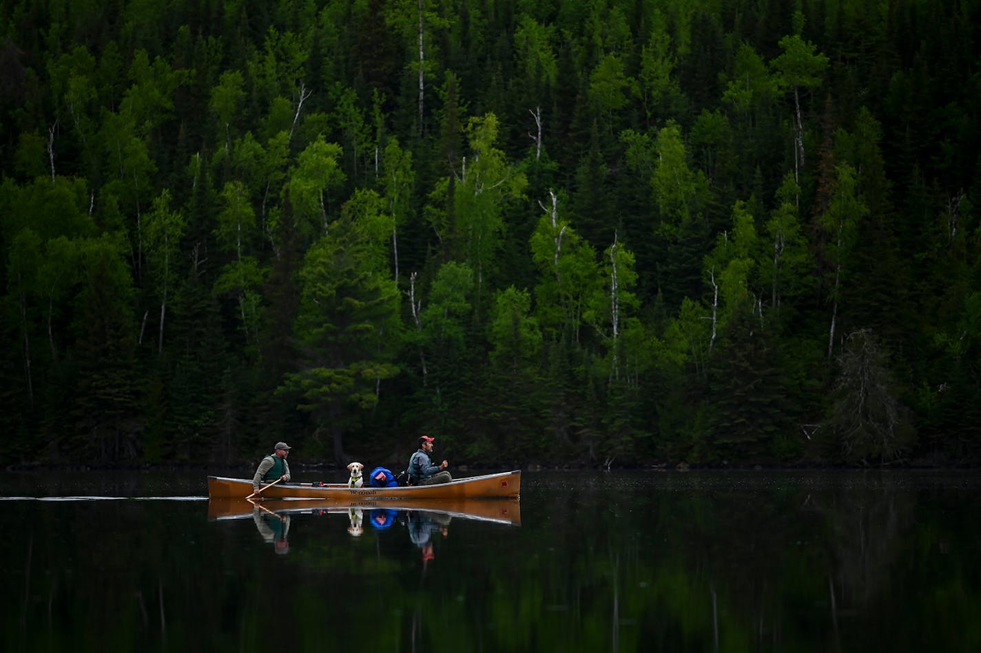 Tony Jones, left, his yellow Lab Crosby, and Bob Timmons paddled over a still Mountain Lake on June 14 toward their portages to Moose Lake.