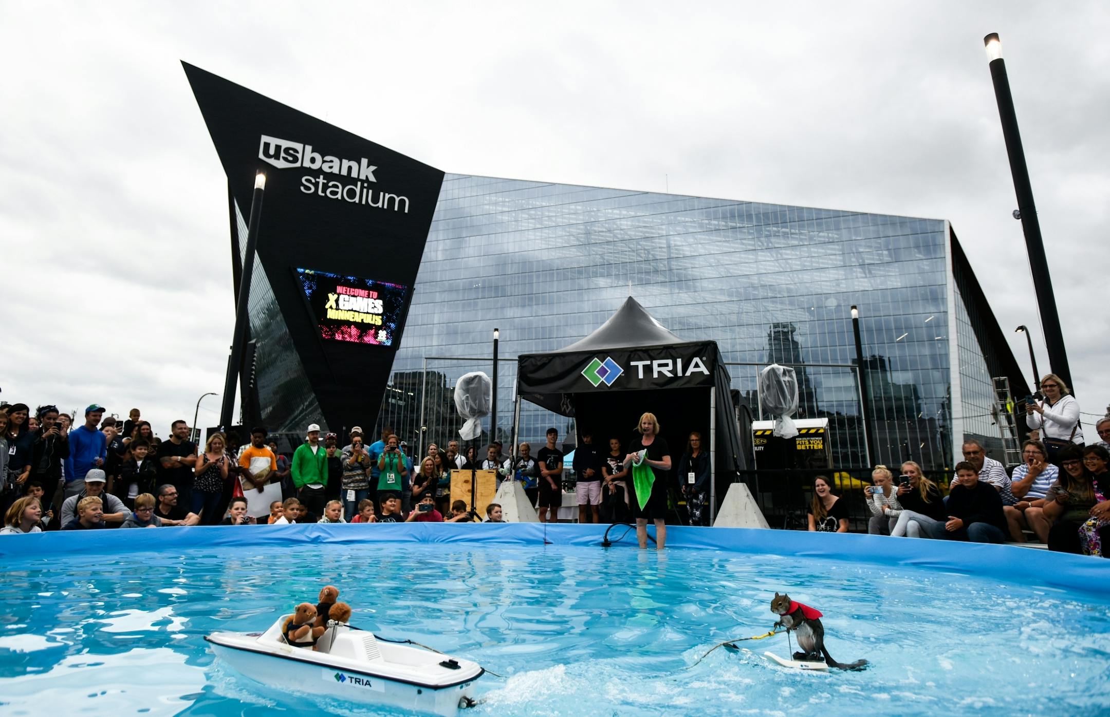 Twiggy, the water-skiing squirrel, performed Thursday, July 19, 2018 outside US Bank Stadium as part of X Fest. The squirrel, the 7th in a line of Twiggies going back to the late 1970s, is on a farewell tour due to the retirement of its owner, Lou Ann Best. She started performing with water-skiing squirrels with her husband, Chuck Best, who died in a downing accident in 1997. Lou Ann spends a substantial part of her performance educating spectators about water safety.