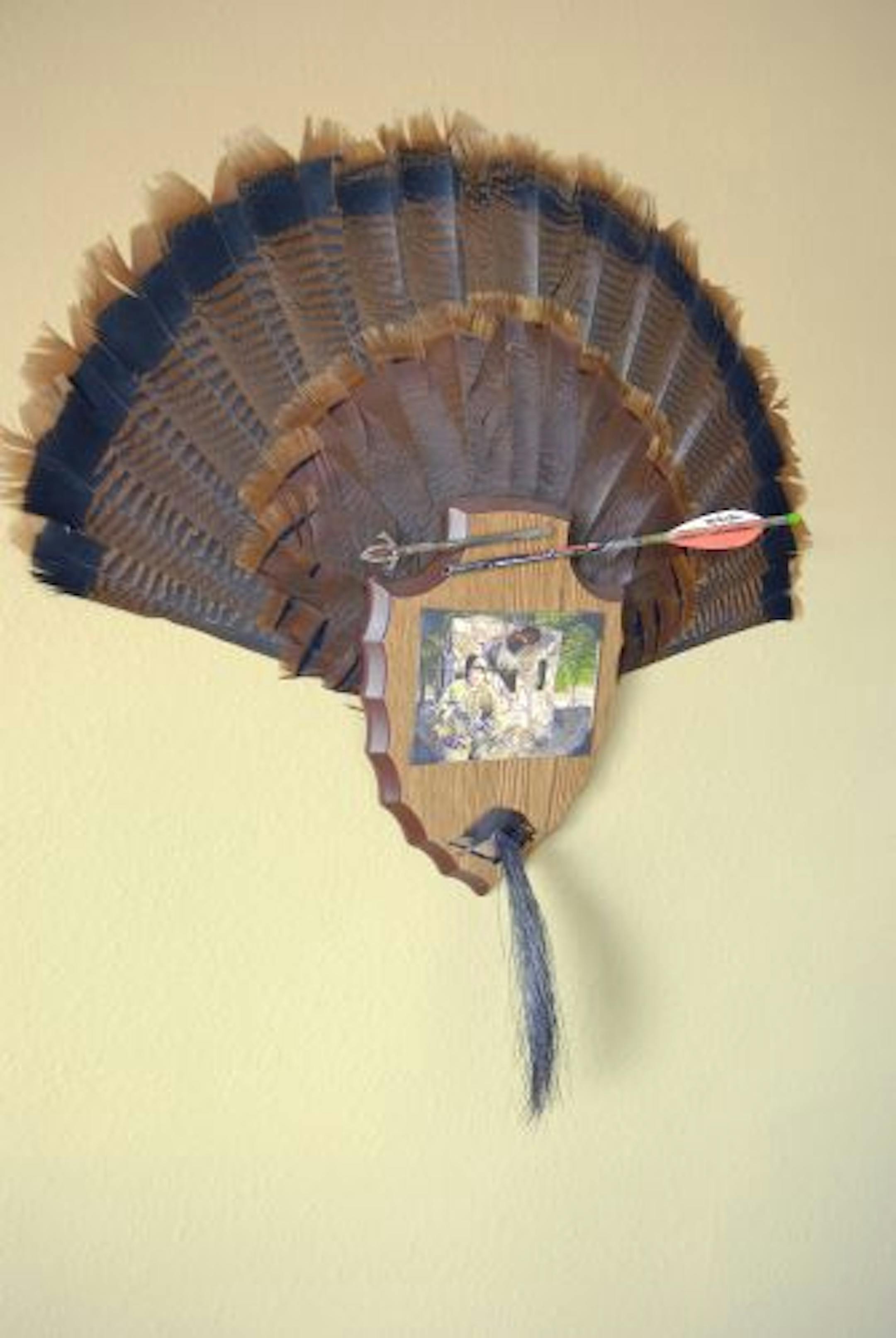 For those who can't spend on a more expensive life-sized mount, or don't have the room to exhibit a full mount, a tail and beard wall display will preserve turkey hunting memories at a more affordable price.