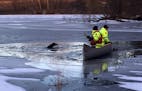 Eagen firefighters neared two dogs that were near drowning after falling through thin ice on East Thomas Lake.