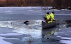 Eagen firefighters neared two dogs that were near drowning after falling through thin ice on East Thomas Lake.