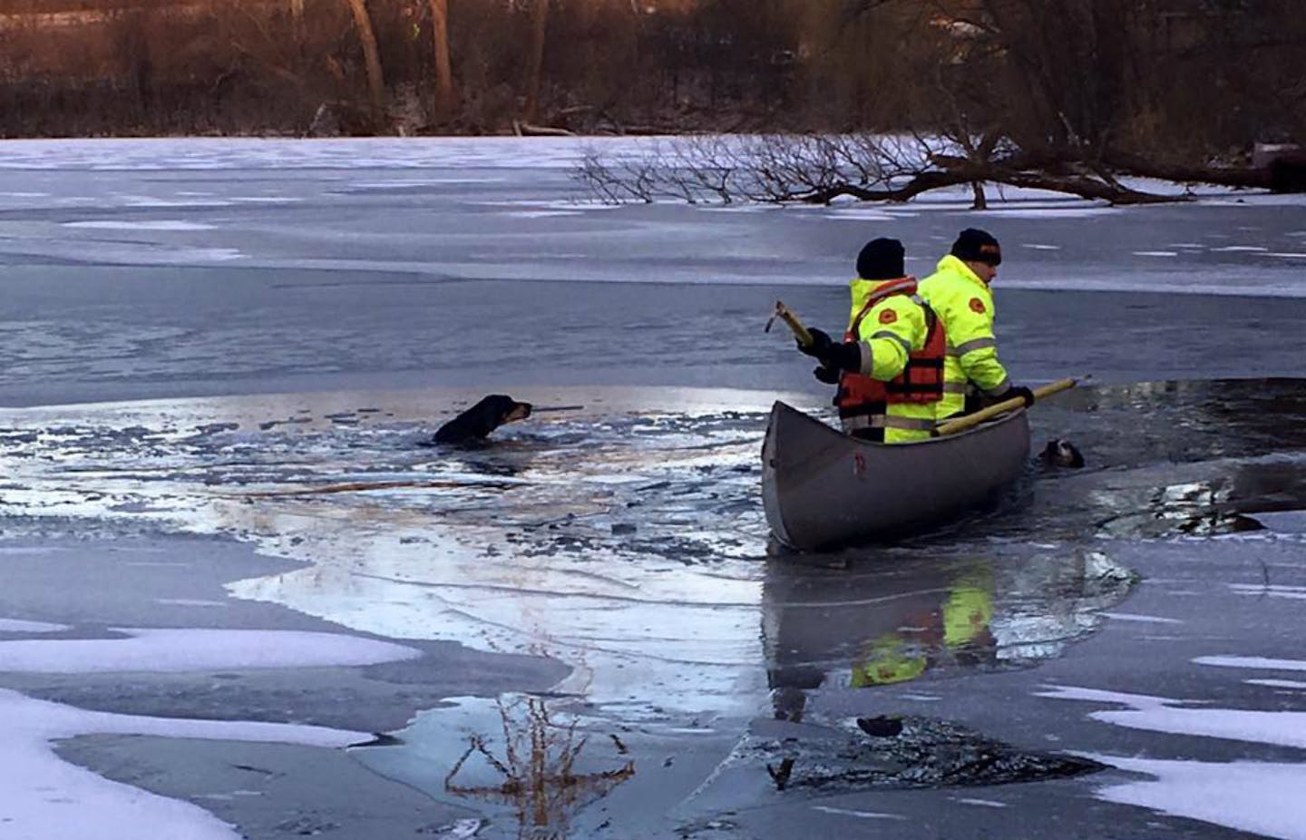 Eagen firefighters neared two dogs that were near drowning after falling through thin ice on East Thomas Lake.