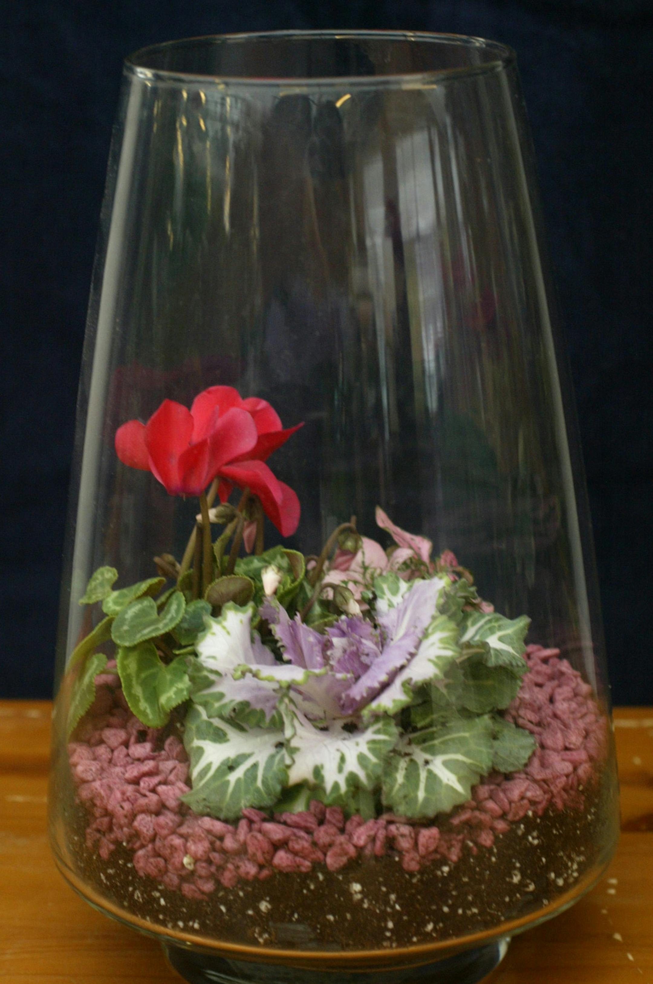 joel koyama•jkoyama@startribune.com cloche0127 20011028a Bachman's in Minneapolis, MN. Mary Beth Gullickson is a horticulturist who will have several terrariums for us to shoot, as well as the materials for another that she will assemble while we shoot.] The terrarium is finished.