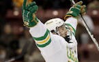 Ben Brinkman of Edina celebrated after a goal during the Section 6AA tournament in March.