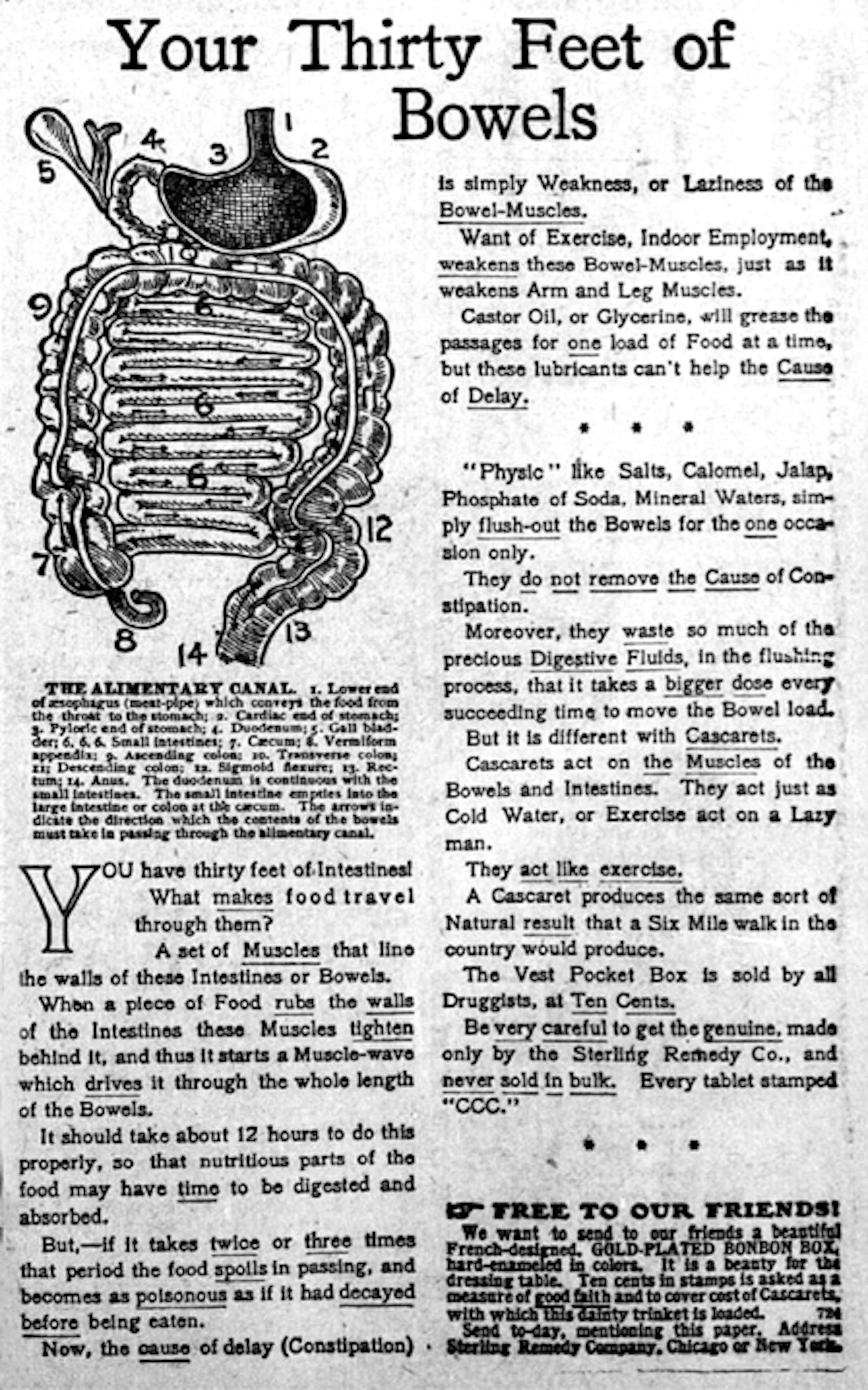 1906 Cascarets ad, Minneapolis Journal