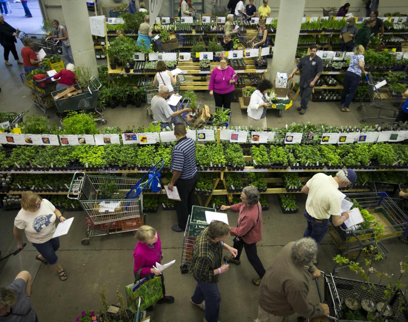 People looking at rows of plants.