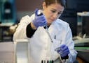 Amanda Vukich a forensic scientist 2 demonstrated a THC purity test at the Midwest Regional Forensic Lab in Andover. ] CARLOS GONZALEZ &#x2022; cgonza