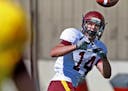 Former Gophers wide receiver Isaac Fruechte started his post-prep career at Rochester Community and Technical College. The 24-school Minnesota College