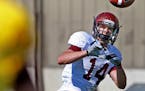 Former Gophers wide receiver Isaac Fruechte started his post-prep career at Rochester Community and Technical College. The 24-school Minnesota College