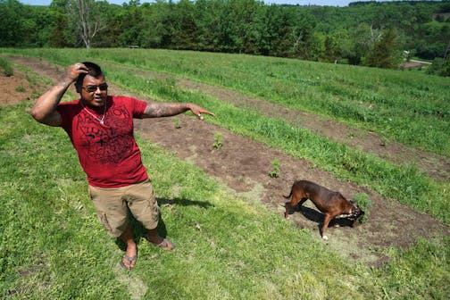 Luis Hummel at his hemp farm.
brian.peterson@startribune.com
Lanesboro, MN Wednesday, June 5, 2019