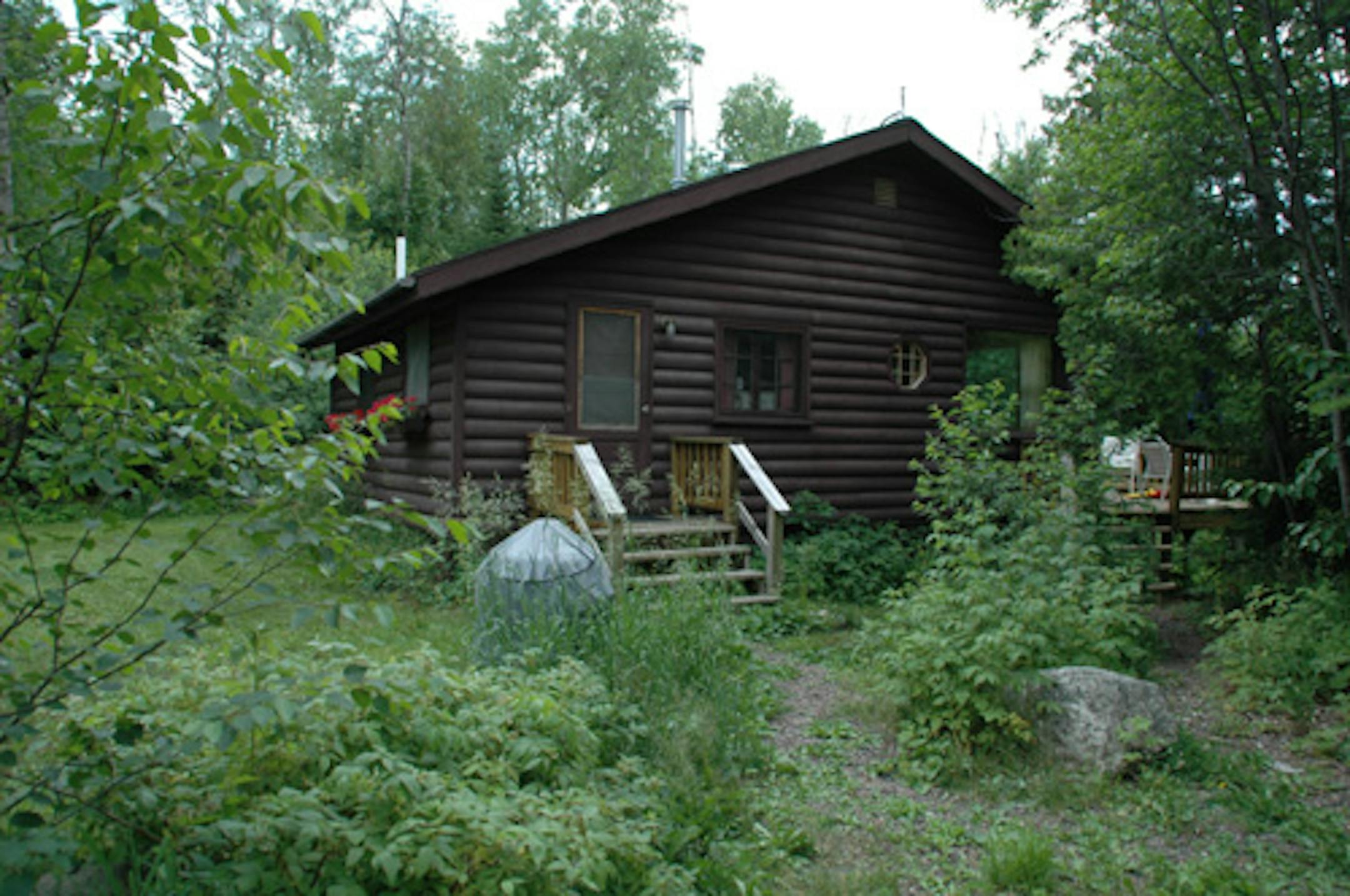 Dog vacation up North