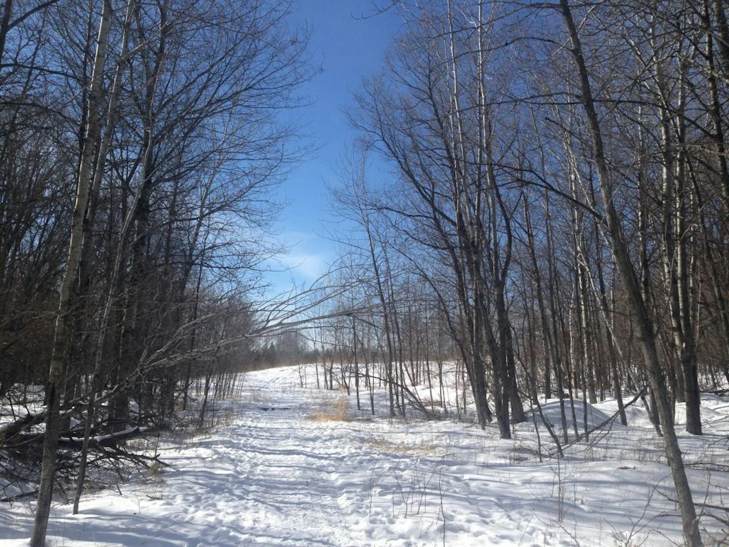 Photo depicts the trail that Bemidji State student Sandra Lommen wandered down during the last moments of her life. Photo: Maya Rao / Star Tribune