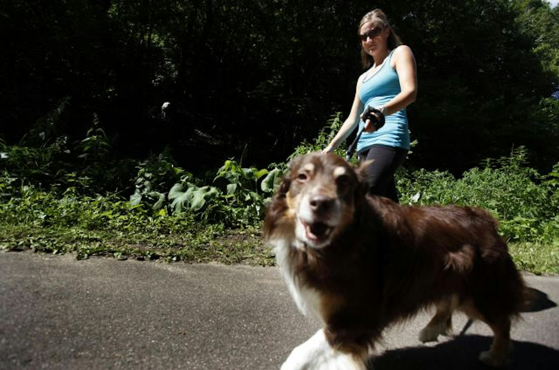 Amanda Boelke walked her dog Rusty an Australian Sheppard along a trail at Kaposia Park in South St. Paul on Wednesday.