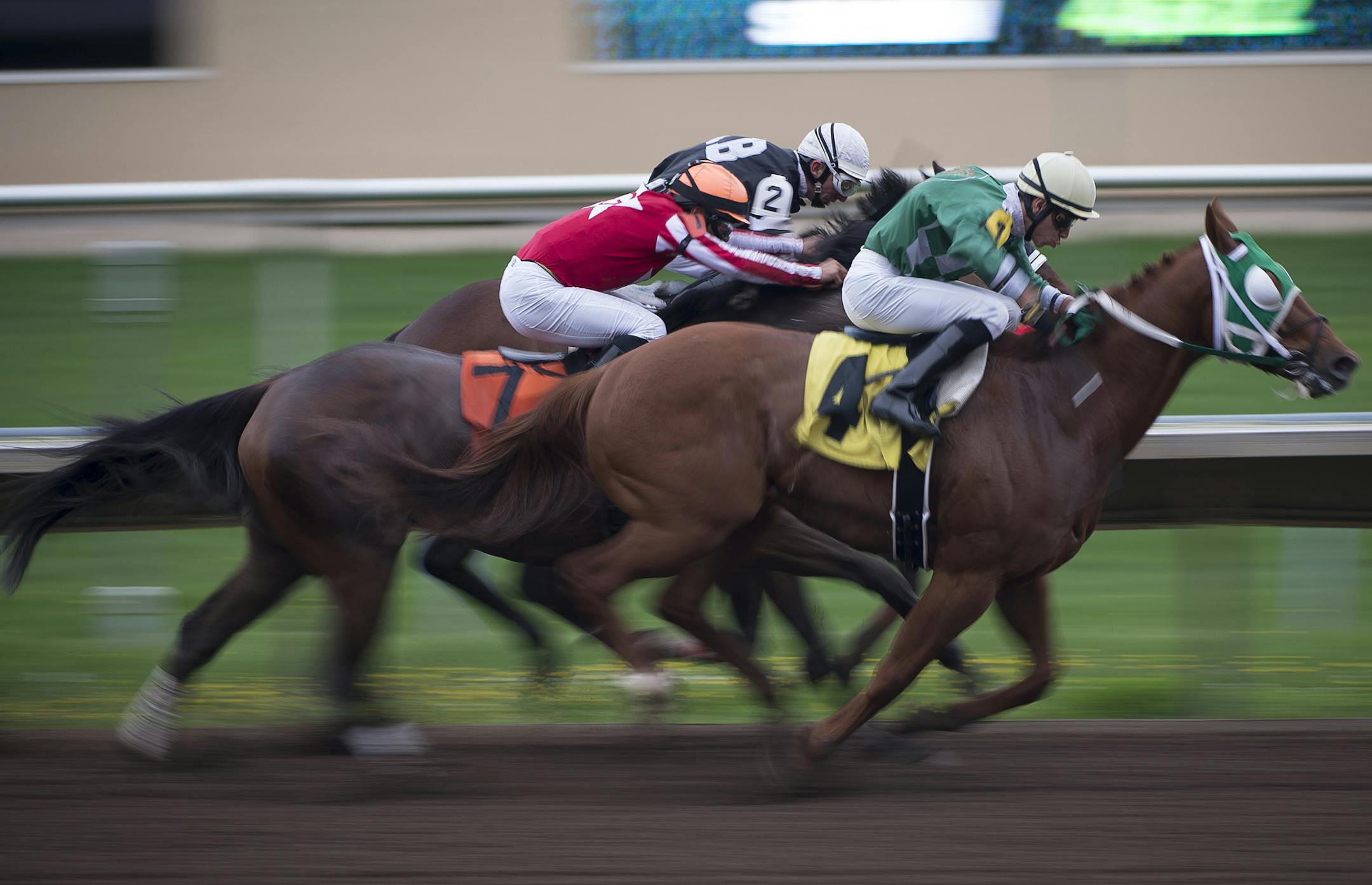 Talk The Walk (4), Papa's Paisley (7) and Bizet (2) raced to a three-horse photo finish in the second race on opening night at Canterbury Park.