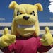 The new — and apparently unpopular — version of the University of Minnesota Duluth’s bulldog mascot, Champ.