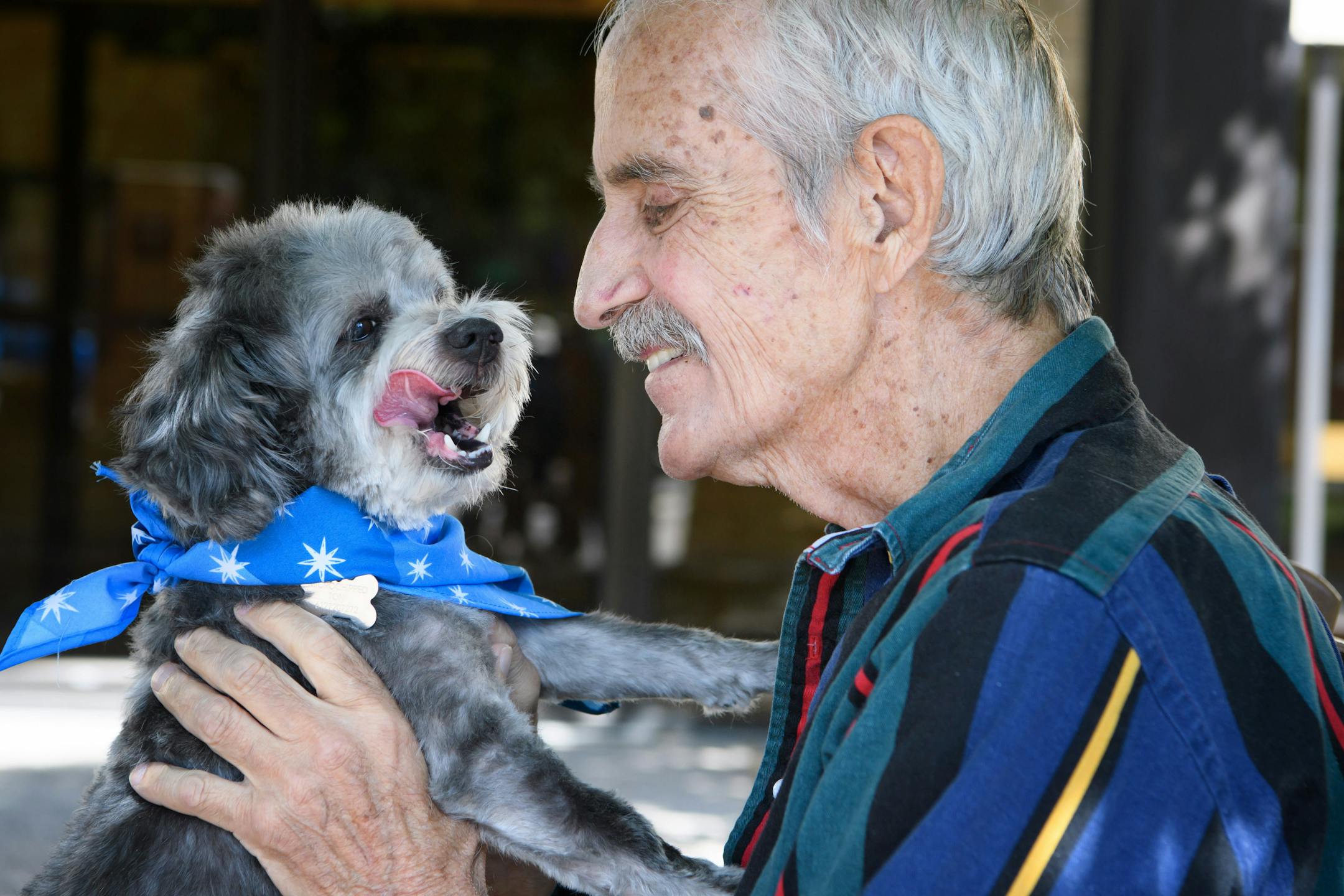 Mike Heath got lots of kisses and cuddles as he reunited with his dog Baby after Toni Johnson found Baby and had him groomed and cleaned at a Petco for Mike. ] GLEN STUBBE * gstubbe@startribune.com Wednesday, June 29, 2016 Toni Johnson after reuniting Baby with its owner Mike Heath she took the dog to get shots and groomed. Now she will be returning Baby to Mike. after being groomed at Petco. Please shoot video of Baby doing the trick that proved he was Mike"s dog.