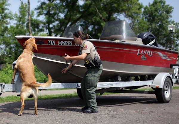 Julie Siems from the DNR demonstrated the abilities of a zebra mussel sniffing dog at Riverfront Regional Park.