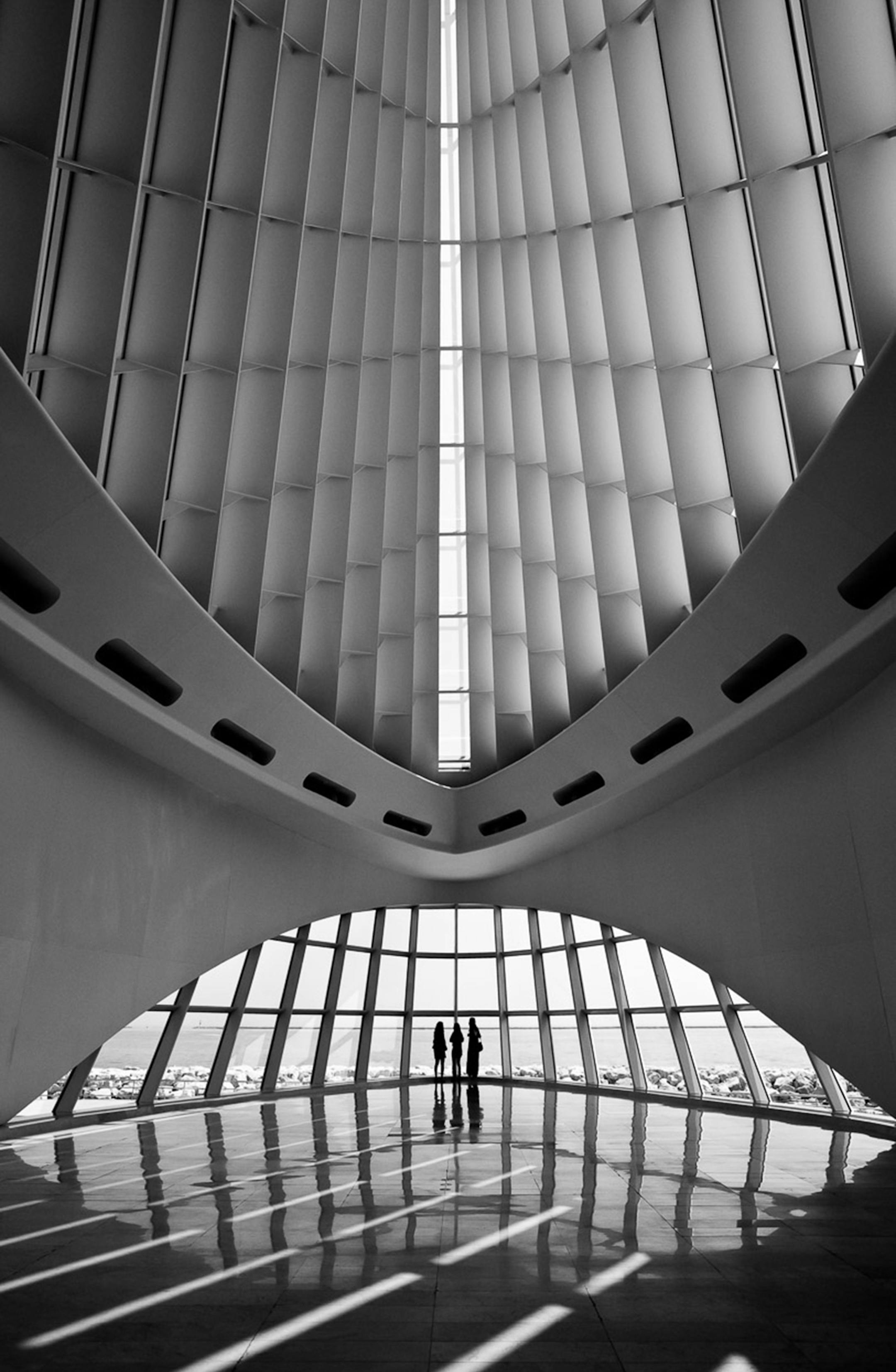 &#x201c;Art Museum&#x201d; by Scott Board