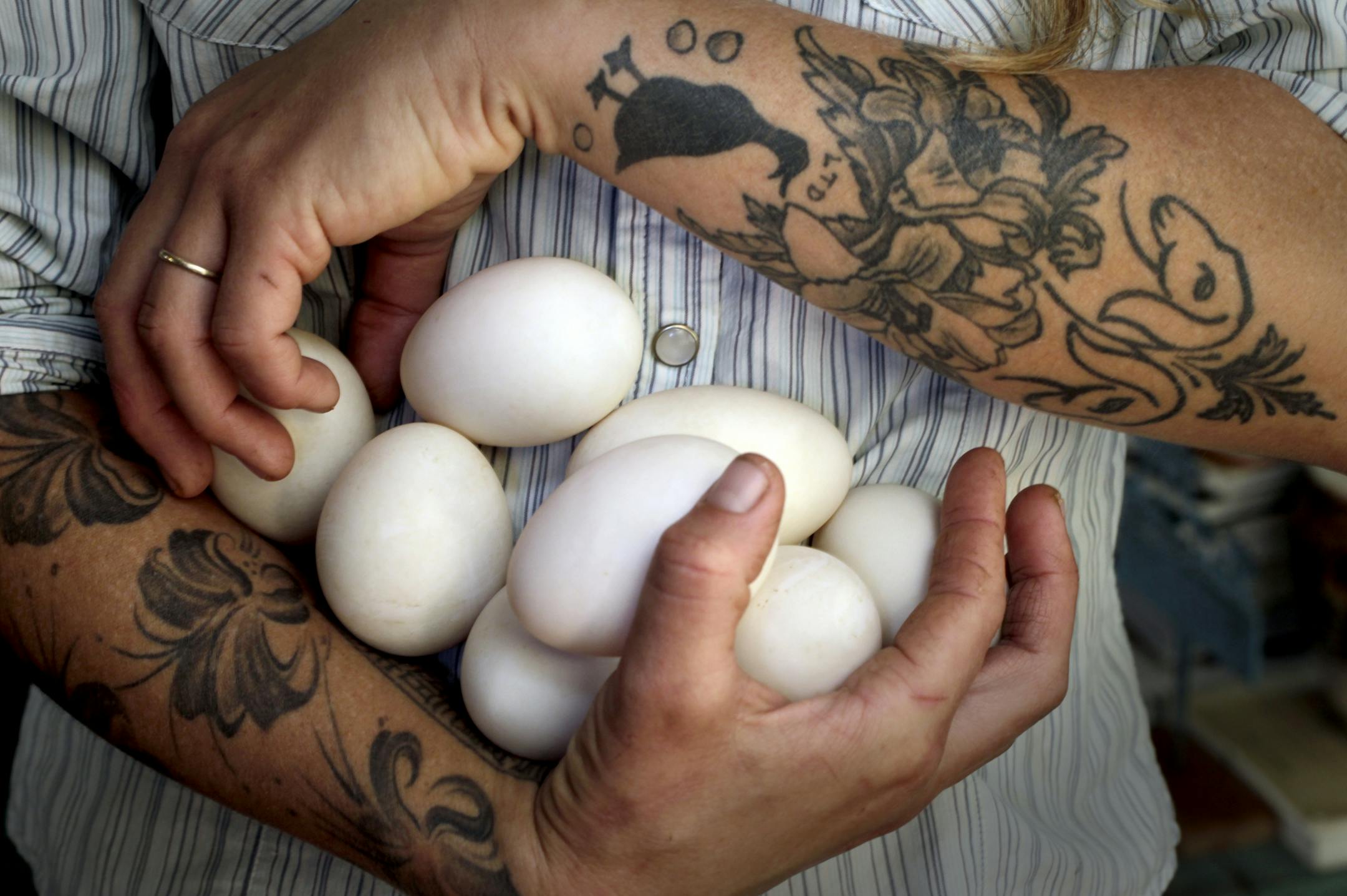 Khaiti French and an armload of fresh duck eggs. "We love duck eggs. They're awesome, they're our favorite thing," she said. "It's easy to sell something you love."