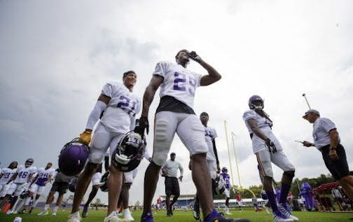 Who are the players on the Vikings' 53-man roster? We take a close look at their pedigree, home-states, colleges and more.