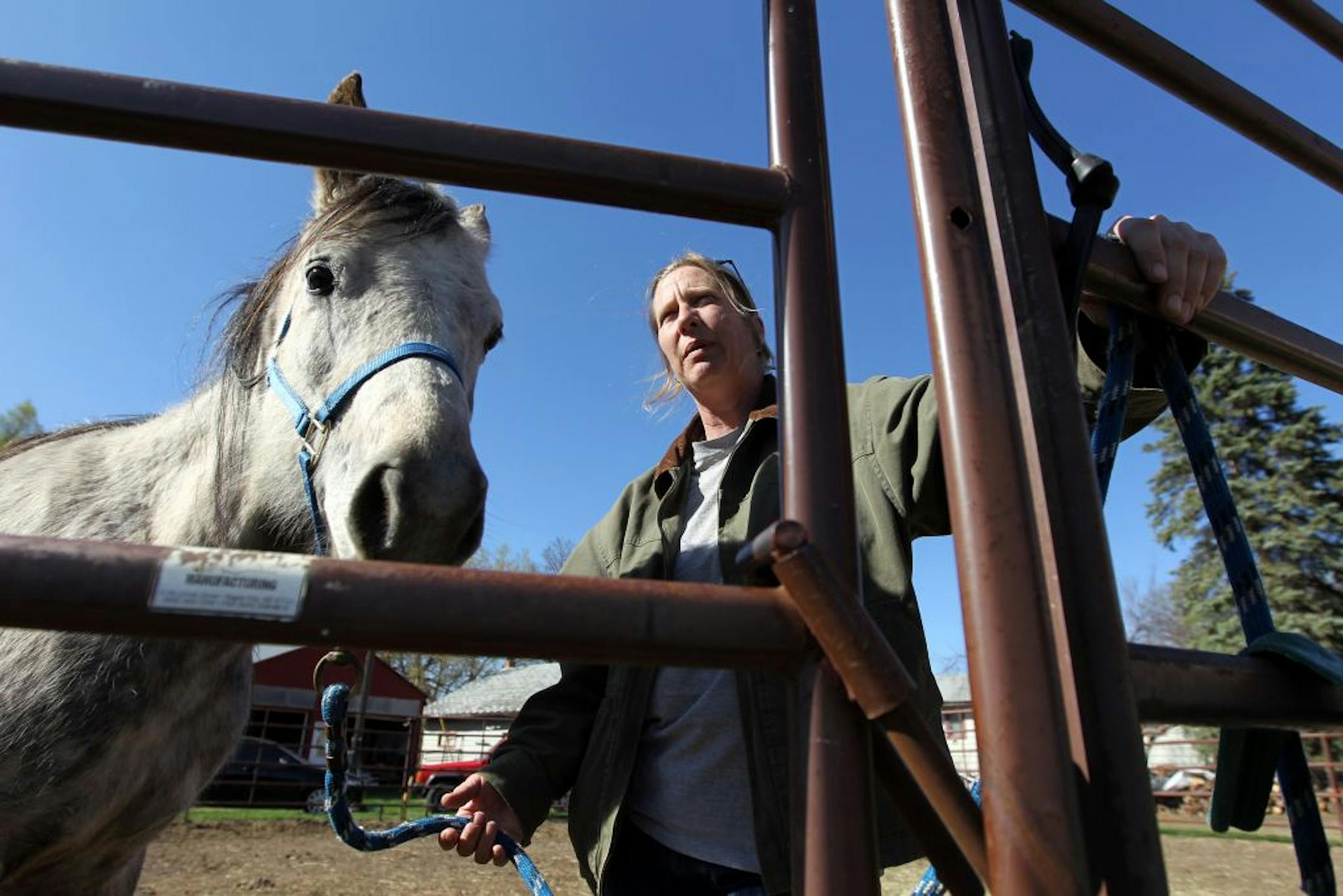 Drew Fitzpatrick, who runs a refuge for abused horses near Zimmerman, Minn., waited for a veterinarian to tend to Coki, a horse recently returned to her farm.